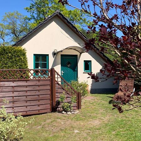 „Rentmeisterhaus Basedow“ Basedow  Exteriör bild