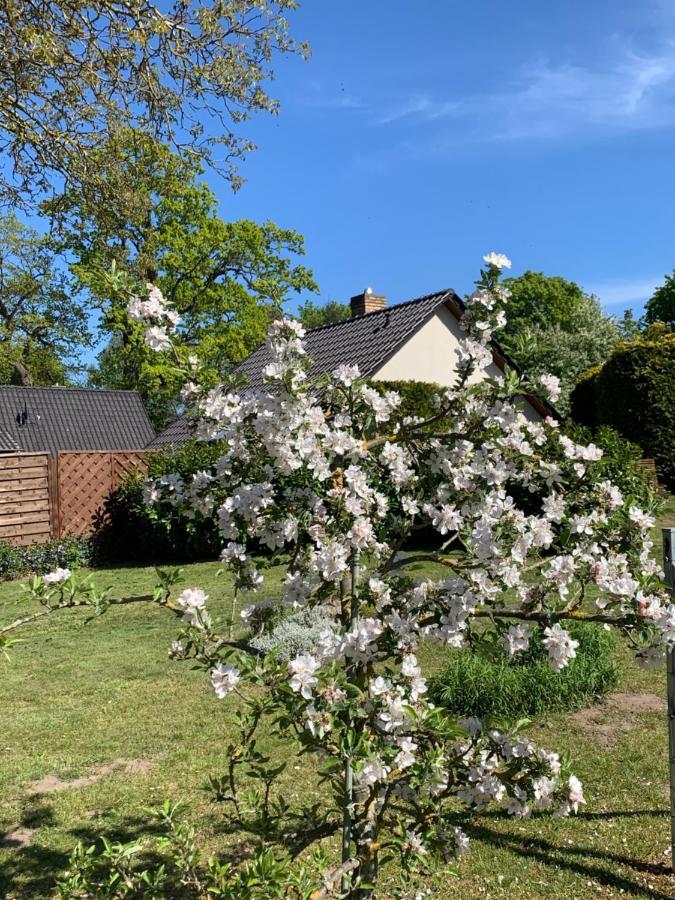 „Rentmeisterhaus Basedow“ Basedow  Exteriör bild